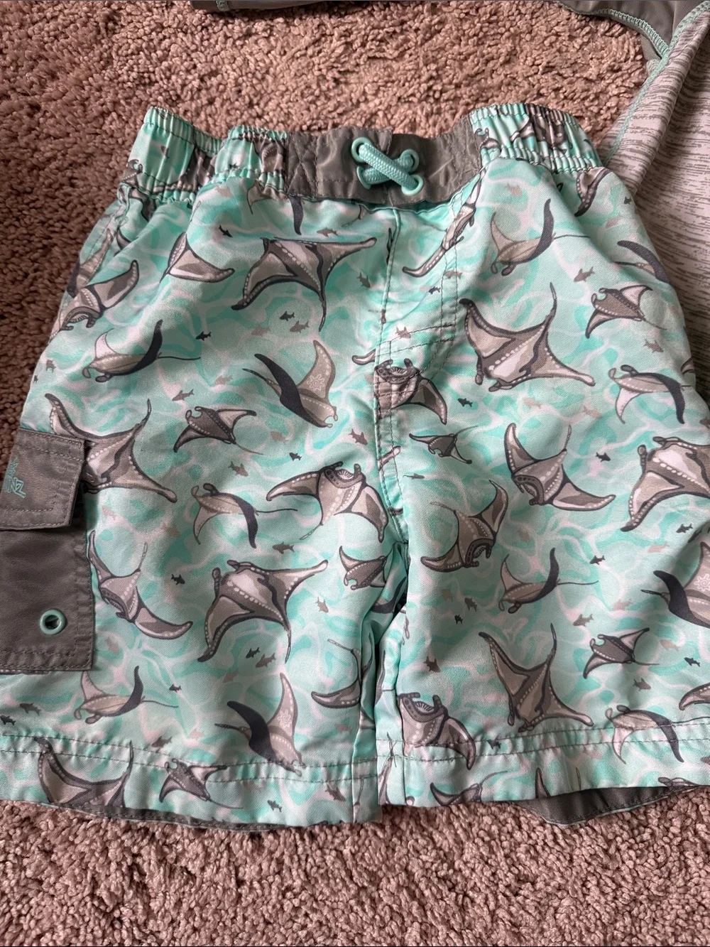 Boys' Mint & Gray Manta Ray Swim Trunks and Rash Guard Set